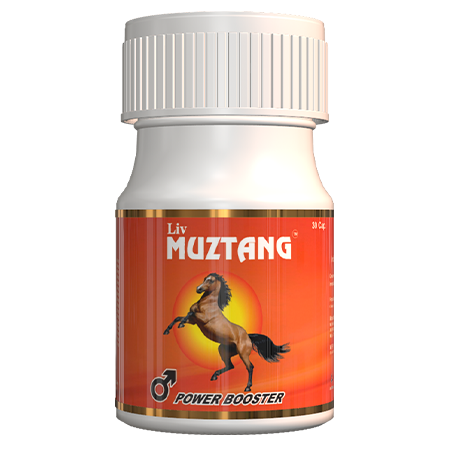 मेरी यौन जीवन की दास्तान !